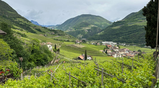 Italiaanse wijnproducent Untermosehof